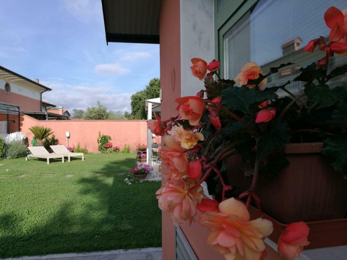 Giusy Bed And Breakfast มารีนาดีคาร์รารา ภายนอก รูปภาพ